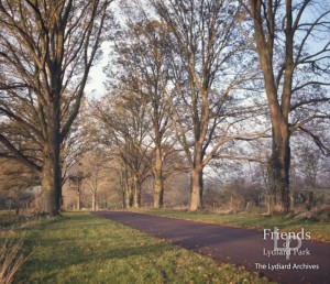 Photographs (2) of Church drive with Huntingdon Elms, Lydiard Park c1960s