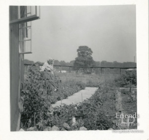 Photograph of garden at 8a Lydiard Park, c1950