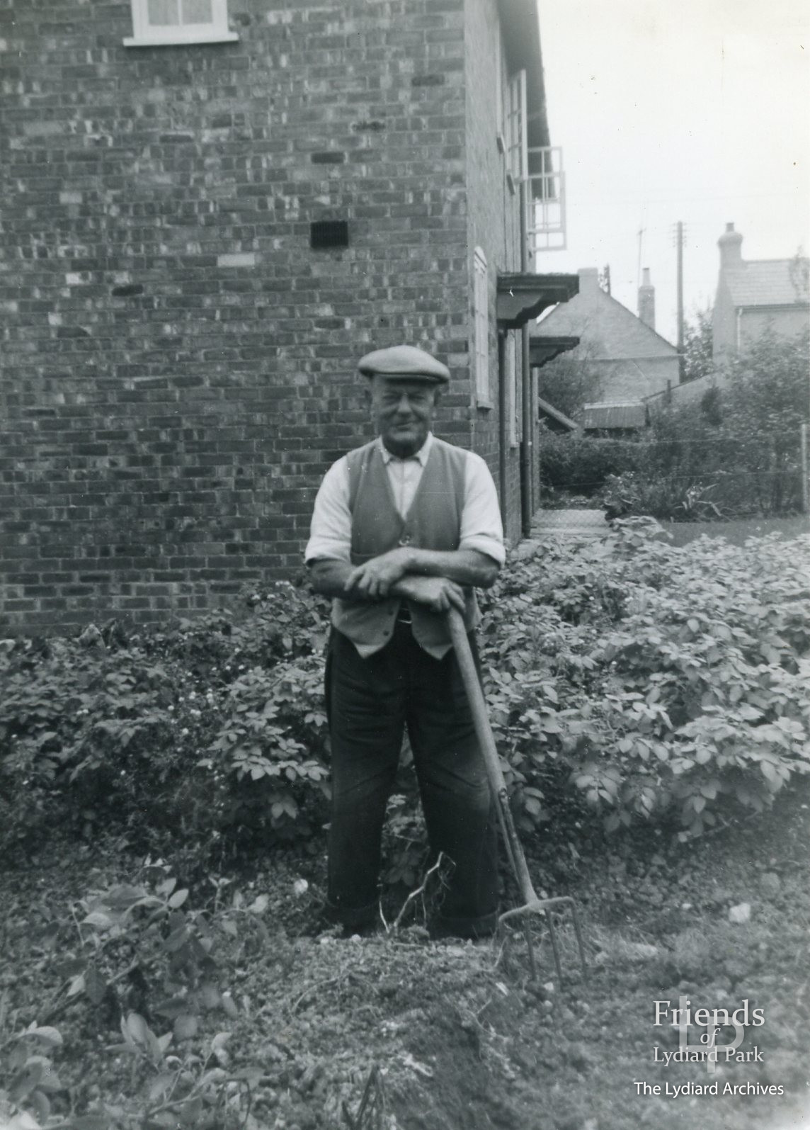 Ernest Titcombe tending his vegetable patch at Bolingbroke Close, c1950's