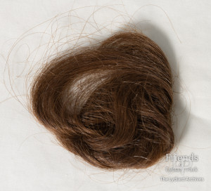 Locks of hair - St.John family