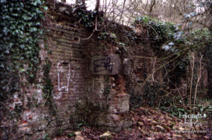 Lydiard Park - The Standing Structures, Preliminary Archaeological Assessment, 2004