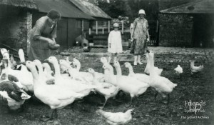 Photograph of feeding the ducks, Windmill Leaze Farm (Park Farm) 1920's