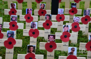 Video of Prince Harry opening Field of Remembrance, Lydiard Park, 2010
