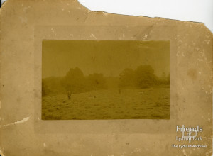 Photograph of haymaking at Lydiard Park, late 19th Century