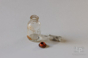 Medicine bottles and related items from former military hospital dump, Lydiard Park