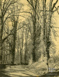 Photograph of Hook Street c1930s