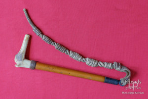 Riding crop whip