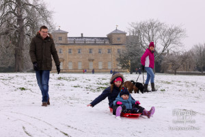 Tobogganing in the Park, January 2023