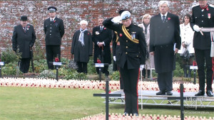 Prince Harry saluting at  Field of Remembrance , 2010