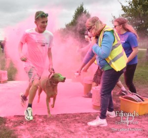 Rainbow Run, Lydiard Park, September 2018
