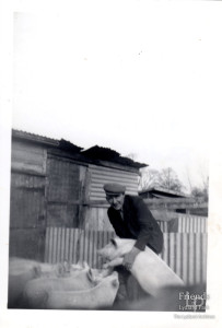 Photographs (2) Alfred Rudler at work, Hook, Lydiard Tregoze, 1950s