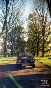 Photograph of Alfa Romeo car on Lydiard Park drive, 1977