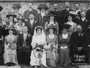 Wedding party of John Henly and Florence Newth, 1911